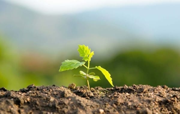 Clarity ESG support for green financing readiness
